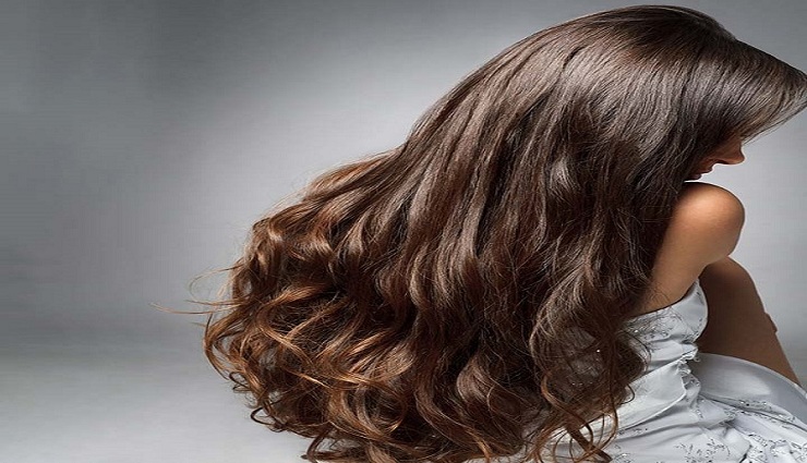 hibiscus,curd,lemon,hair,rainy season ,செம்பருத்தி, தயிர், எலுமிச்சை, கூந்தல், மழைக்காலம்