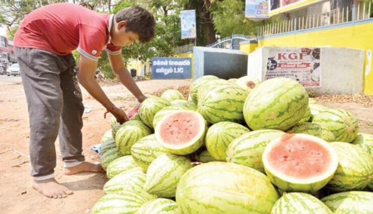 fruits,ramanathapuram,sale,watermelon, ,தர்ப்பூசணி, பழங்கள், ராமநாதபுரம், விற்பனை