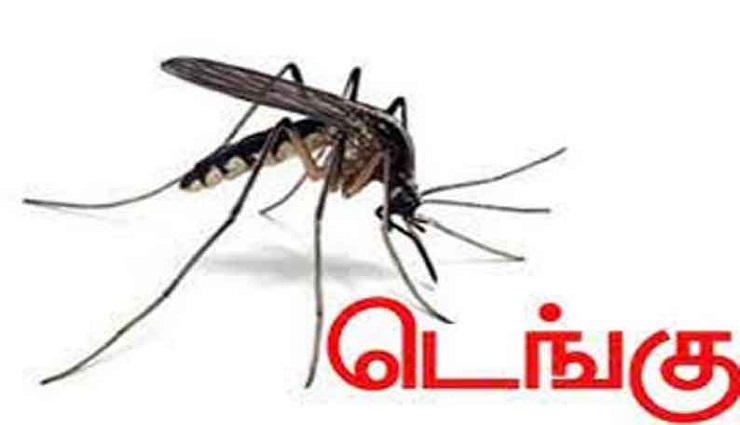 dengue,cuddalore