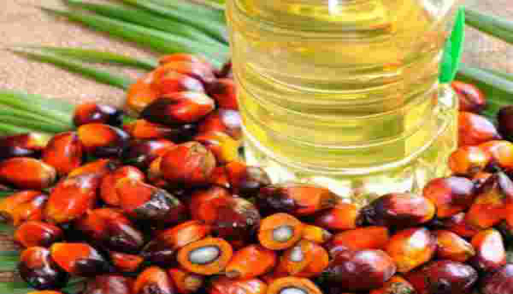 palm oil,vitamin e,excess,rebind,to the body ,பாமாயில், வைட்டமின் ஈ, அதிகளவு, ரீபைண்டு, உடலுக்கு