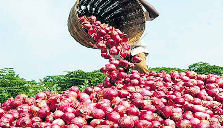 onion,farmer welfare,india,onion exports ,வெங்காயம், உழவன் நலன், இந்தியா, வெங்காய ஏற்றுமதி