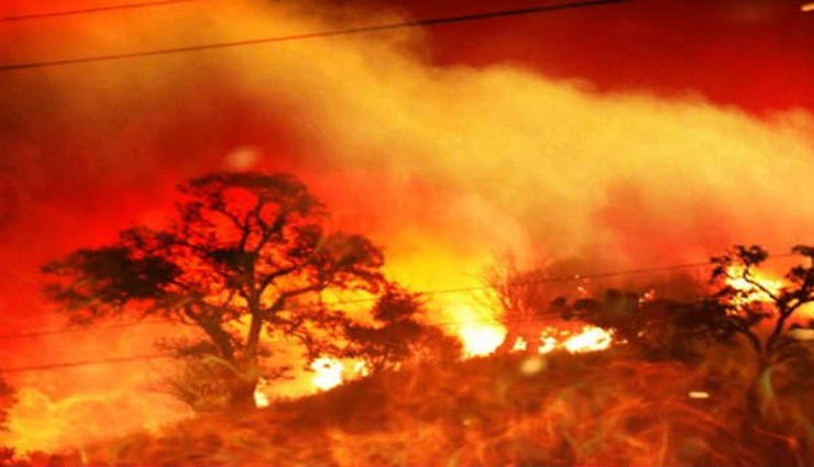 wildfires kill 37 lakh acres,people,residential ,காட்டுத்தீ, 37 லட்சம் ஏக்கர், மக்கள், குடியிருப்பு, 27 பேர் பலி