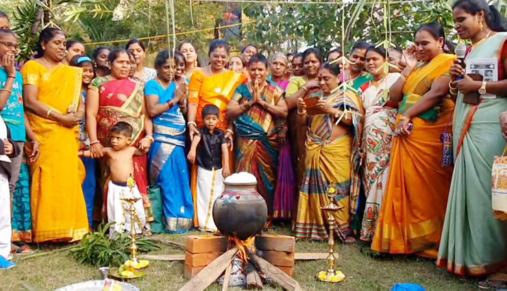 தரங்கம்பாடி பேரூராட்சி சார்பில் பொங்கல் விழா கொண்டாட்டம்