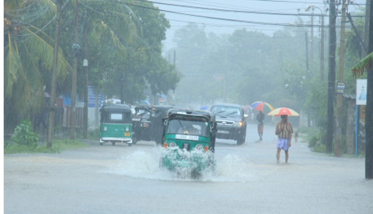 trincomalee,puravipuyal,mullaitivu,trees were broken ,திருகோணமலை, புரவிப்புயல், முல்லைத்தீவு, மரங்கள் முறிந்தன