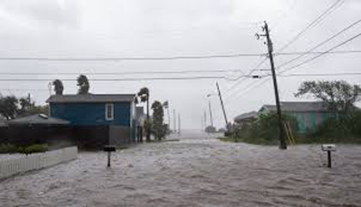 hurricane,strong wind,floodplain,trees,road ,சூறாவளி, பலத்த காற்று, வெள்ளக்காடு, மரங்கள், சாலை