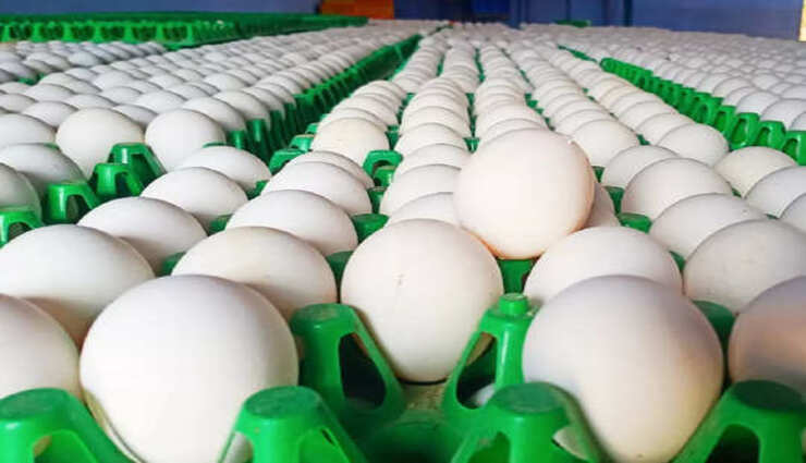egg price,name stone,procurement,farmers,promotion ,முட்டை விலை, நாமக்கல், கொள்முதல், பண்ணையாளர்கள், உயர்வு