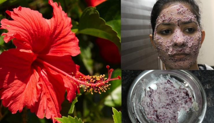 face-pack,hibiscus,skin , செம்பருத்தி, தோல் பிரச்சனை, பேஸ் பேக்