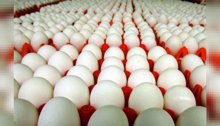 namakkal,eggs,purchase price,farm ,நாமக்கல், முட்டை, கொள்முதல் விலை, பண்ணை