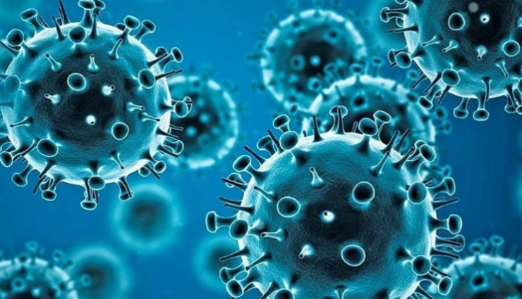 corona,infection,virus, ,உலக அளவில், கொரோனா, 68.52 கோடி எண்ணிக்கை