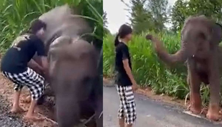 சேற்றில் சிக்கிய தன்னை காப்பாற்றிய பெண்ணை ஆசிர்வதித்த யானை