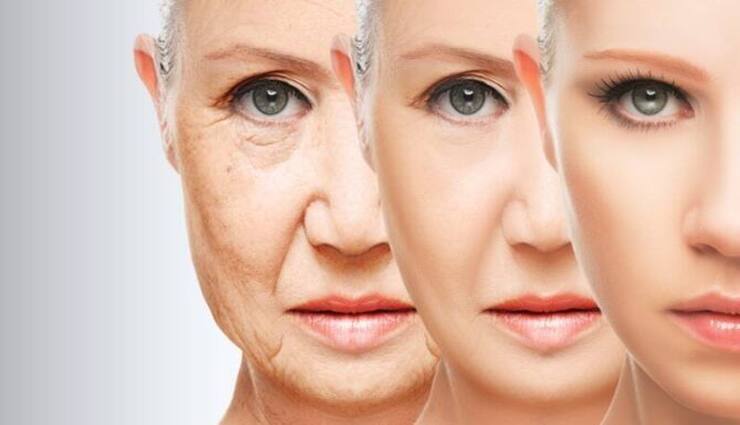 skin wrinkles,can be controlled,wheat,almonds,cheese ,சரும சுருக்கங்கள், கட்டுப்படுத்தலாம், கோதுமை, பாதாம், பாலாடைக்கட்டி
