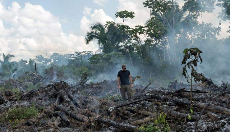 deforestation,amazon,18 years,brazil ,காடழிப்பு, அமேசான், 18 ஆண்டுகள், பிரேசில்
