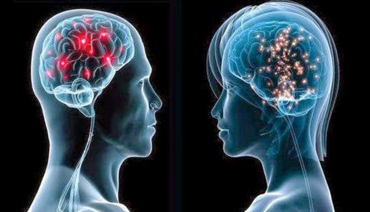 brain,women,men,more active ,மூளை, பெண்கள், ஆண்கள்,சுறுசுறுப்பு