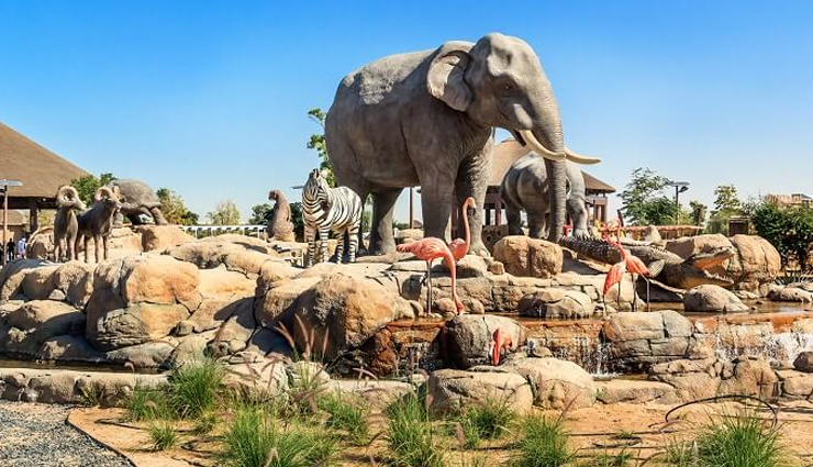 african elephants,dubai safari park,al warka,wildlife park ,ஆப்பிரிக்க யானைகள், துபாய் சஃபாரி பார்க், அல் வர்கா, வனவிலங்கு பூங்கா