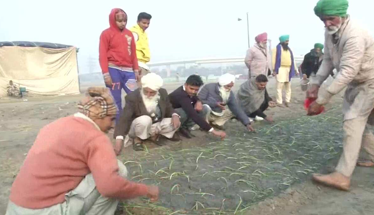 farmers,onions cultivate,purari ground,delhi ,விவசாயிகள், வெங்காயம் சாகுபடி, புராரி மைதானம், டெல்லி