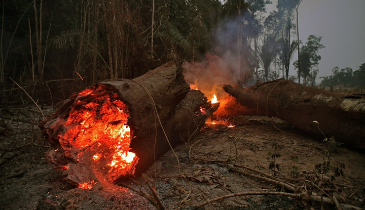 wildfires,brazil,28 percent higher,july month fire ,காட்டுத்தீ, பிரேசில், 28 சதவீதம் அதிகம், ஜூலை மாத தீ
