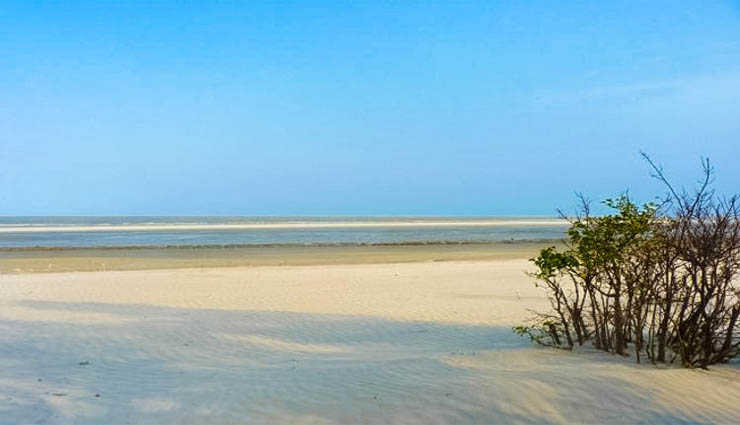bakkhali,beach,tourism,cycling,mangrove forest ,பக்காலி,தீவுக்கடற்கரை,சுற்றுலா,சைக்கிள் சவாரி,மாங்க்ரோவ் காடு