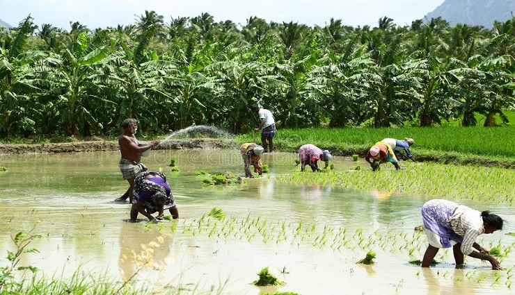 இயற்கை விவசாயம்.. விழுப்புரம் விதைத் திருவிழா..!