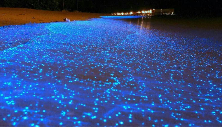 glowing sea,maldives,sea,phytoplankton,tourism ,ஒளிரும் கடல்,மாலத்தீவு,கடல்,பைட்டோபிளாங்க்டோன்,சுற்றுலா