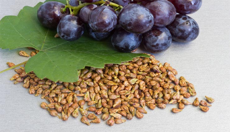 grape seed,health,pro antho cyanide,vitamin,cholesterol ,திராட்சை விதை,ஆரோக்கியம்,புரோ ஆன்தோ சயனிடின்,வைட்டமின்,கொலஸ்டிரால்
