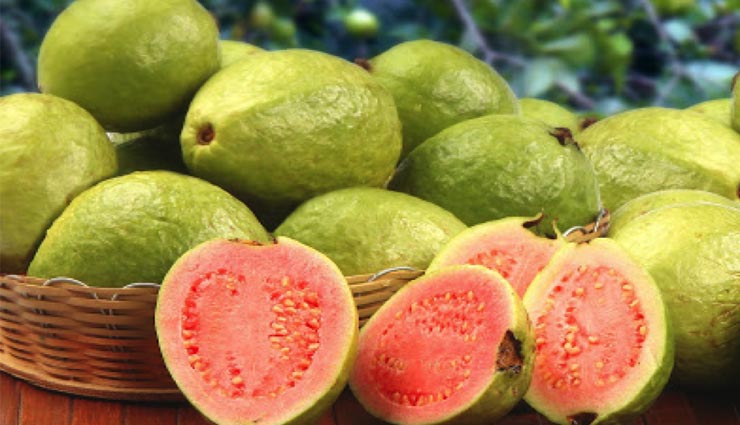 guava fruit,health,eyesight,blood pressure,vitamin ,கொய்யா பழம்,ஆரோக்கியம்,கண்பார்வை,ரத்த அழுத்தம்,விட்டமின்