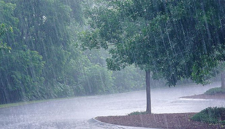 rain,weather,coastal district,bay of bengal,andaman ,மழை,வானிலை,கடலோர மாவட்டம்,வங்கக்கடல்,அந்தமான் 