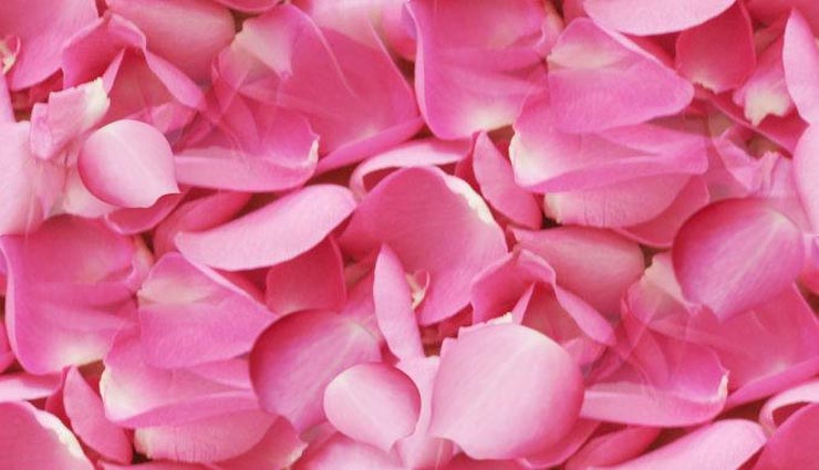 rose flower,petals,health,medicine ,ரோஜா மலர்,இதழ்கள்,ஆரோக்கியம்,மருந்து