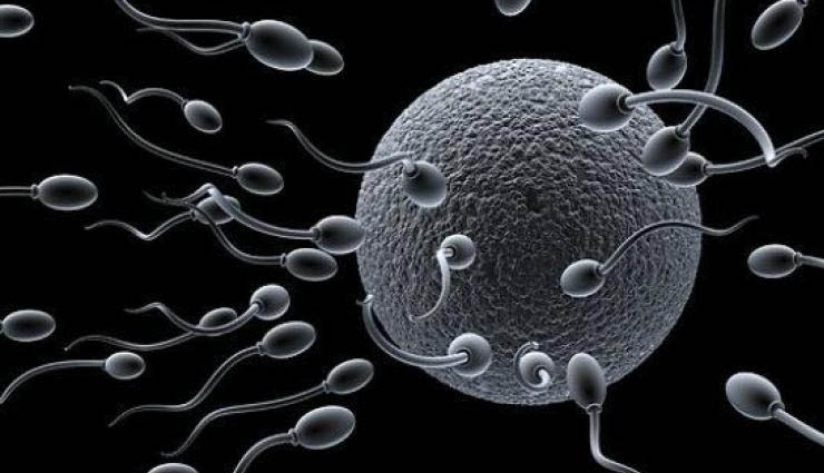 men,sperm deficiency,stress,underwear,infertility ,ஆண்கள்,விந்தணு குறைபாடு,மன அழுத்தம்,உள்ளாடை,மலட்டுத்தன்மை