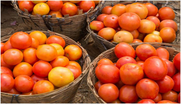 tomato,price,decline,supply,increase ,தக்காளி,விலை,சரிவு,வரத்து,அதிகரிப்பு