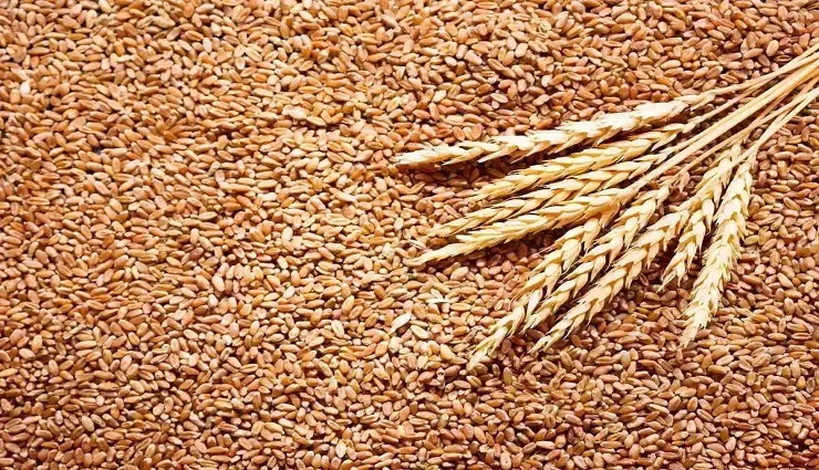 president,food association of india,wheat ,இந்திய உணவு கழக தலைவர்,கோதுமை 