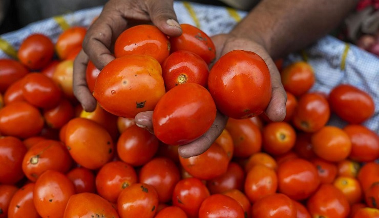 tomato price,traders,sale , தக்காளி விலை,வியாபாரிகள் ,விற்பனை