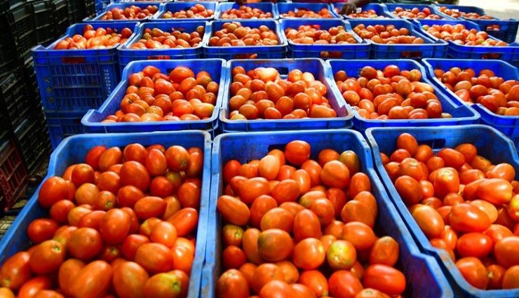 tomato,koyambedu vegetable market ,தக்காளி ,கோயம்பேடு காய்கறி சந்தை