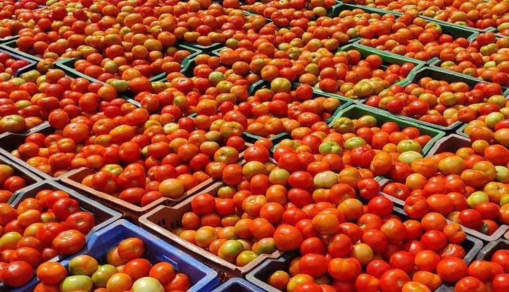 tomato,continuous heavy rain,price , தக்காளி,தொடர் கனமழை,விலை 