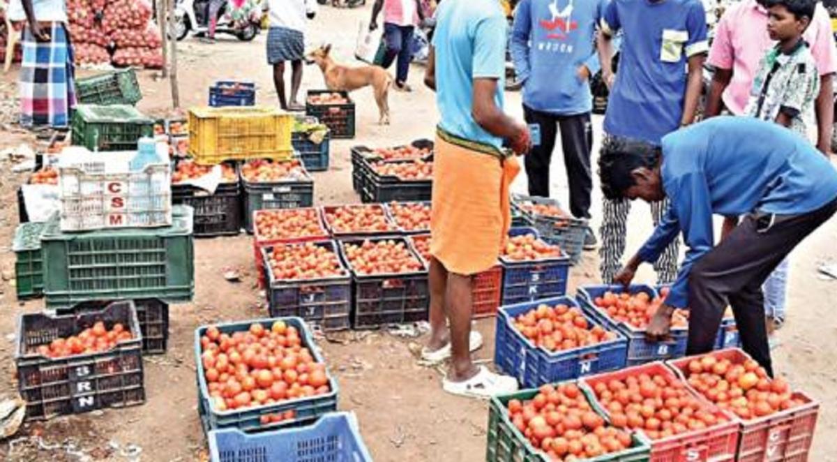 tomato,koyambedu market,chennai ,தக்காளி ,சென்னை கோயம்பேடு சந்தை