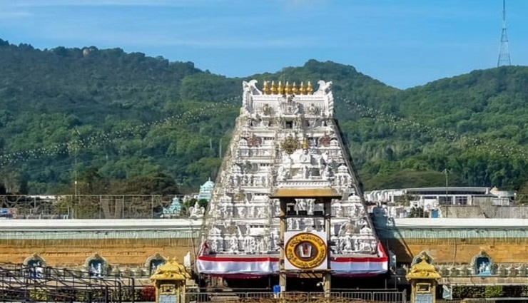 forest department,leopard,tirupati ,வனத்துறையினர் ,சிறுத்தை ,திருப்பதி 