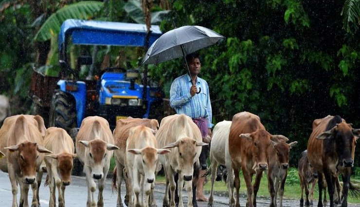 heavy rain,nilgiri,coimbatore ,கனமழை ,நீலகிரி, கோவை