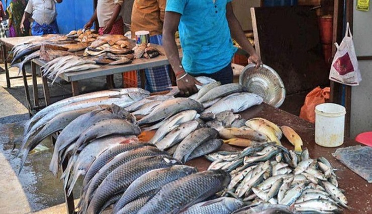 fish market,shops,corporation ,மீன் மார்க்கெட்,கடைகள் ,மாநகராட்சி 