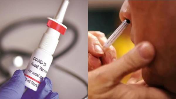 corona vaccine,drug quality control authority of india ,கொரோனா தடுப்பூசி,இந்திய மருந்து தர கட்டுப்பாட்டு ஆணையம் 
