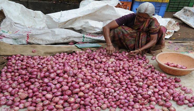 இன்றைய காய்கறி விலை நிலவரம் குறித்த தகவல் இதோ