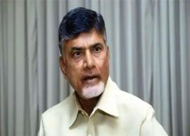 ఏడేళ్ల చిన్నారిని పోలీస్ స్టేషన్‌లో నిర్బంధం చేస్తారా: చంద్రబాబు