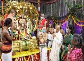 కల్పవృక్ష వాహనంపై శ్రీవారు...