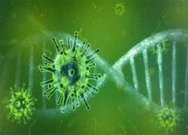 కరోనా వైరస్ ఉత్పరివర్తనం వల్ల ప్రాణాలకు ప్రమాదం లేదు; సింగపూర్ వైద్యుడు