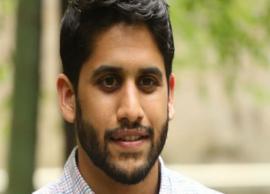 నాగ చైతన్య సినిమా గురించి ఓ ఇంట్రెస్టింగ్ వార్త హల్ చల్ చేస్తోంది