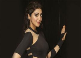 పవన్ కళ్యాణ్ సరసన మరోసారి కన్నడ బ్యూటీ...