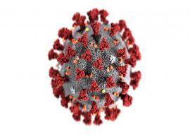 భారతదేశంలో 23,068 మందికి కరోనా...