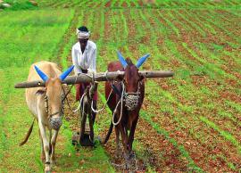 నిర్మలా సీతారామన్ తాజాగా రైతులకు తీపికబురు...