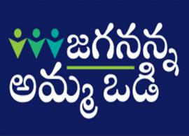 ప్రభుత్వం అమ్మఒడి పథకం నగదుపై ప్రైవేటు పాఠశాలలు కన్ను...