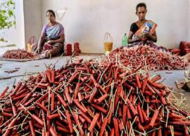 బాణాసంచాపై నిషేధంతో వెలవెలబోతున్న శివకాశి పట్టణం