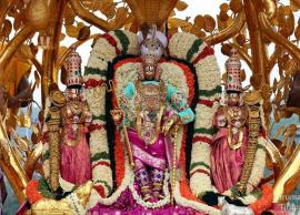 కల్పవృక్ష వాహనంపై ఊరేగిన దేవదేవుడు...