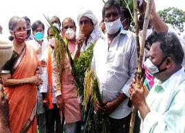 కేంద్ర వ్యవసాయ చట్టాలు రైతులకు ఎంతో మేలు చేస్తాయన్న మంత్రి నిర్మలా సీతారామన్